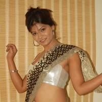 Hema Jelloju in saree Exclusive Hot Pictures | Picture 93323